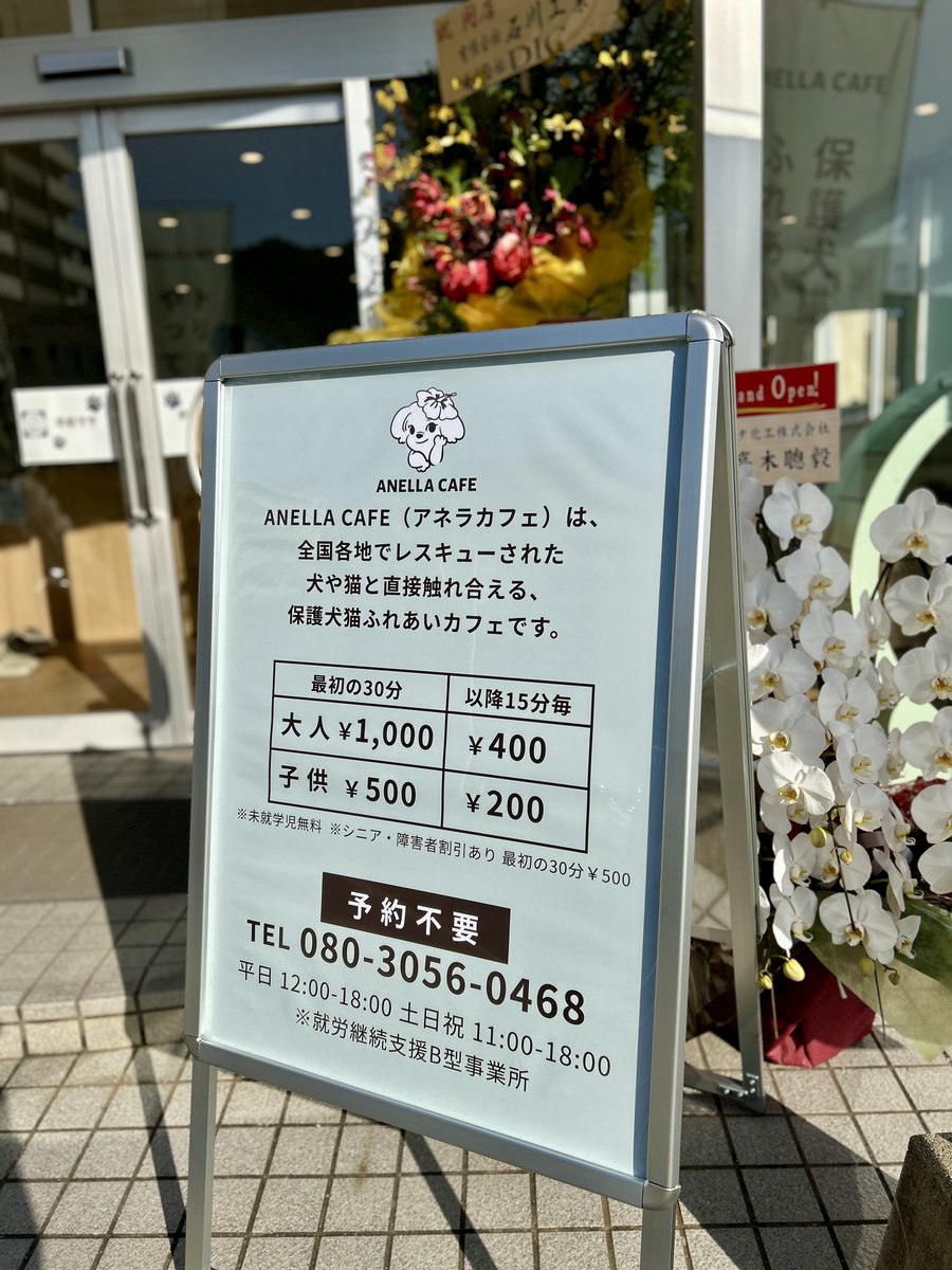 marugotolove's tweet photo. 【開店情報】2026/5/6㊌、広島市安佐南区緑井の国道54号線沿いに保護犬猫ふれあいカフェ｢ANELLA CAFE 広島緑井店｣がオープン。｢ワイモバイル 緑井店｣があった場所
↓
読者のあずささんから今回の情報が届きました。ありがとうございます！
↓
｢ANELLA CAFE 広島緑井店｣(アネラカフェ)についてです。東京に本部がある株式会社ANELLA Groupが、福祉型保護犬猫ふれあいカフェとして展開しており、今回で全国27店舗目、広島県内では初めての出店とのことです。
↓
これまで累計約3500頭の保護犬猫を新しい家族へと繋いできたカフェだそうです。かなりの数ですね!
↓
店内はワンちゃんエリアと猫ちゃんエリアがそれぞれわかれており、犬派の方も猫派の方も、もちろん両方好きな人も楽しめる空間になっているそうです。
↓
さらに、この｢ANELLA CAFE｣(アネラカフェ)は、独自のモデルで展開しているようです。
↓