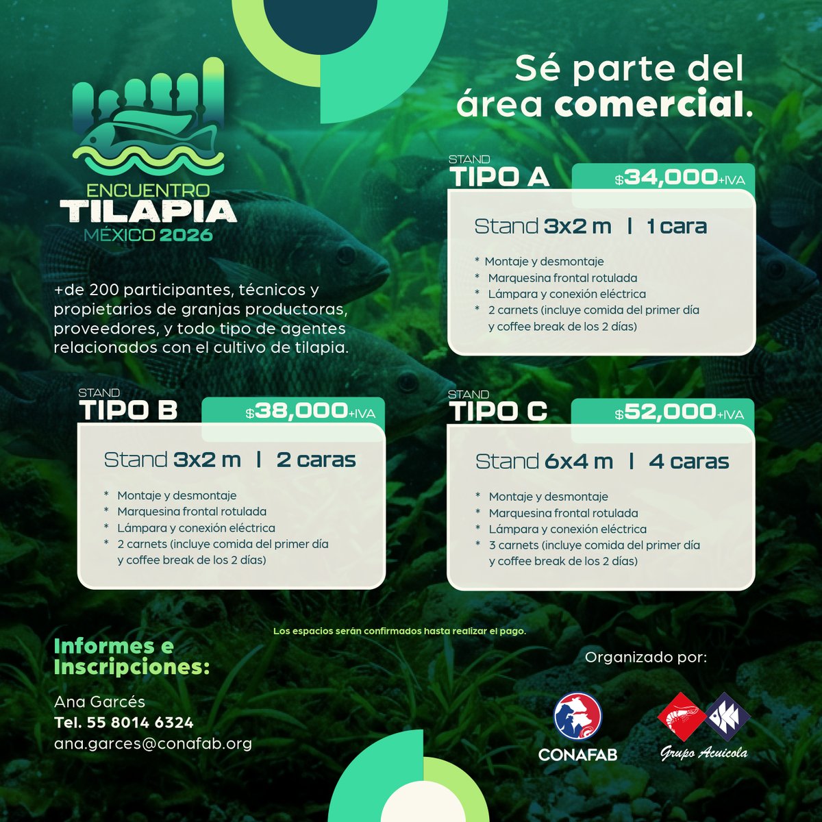 Conafab, A.C. tweet media