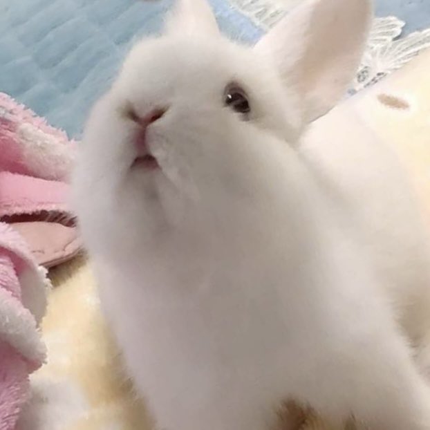 haniisbunny's tweet photo. https://t.co/BpEwRe4HAN