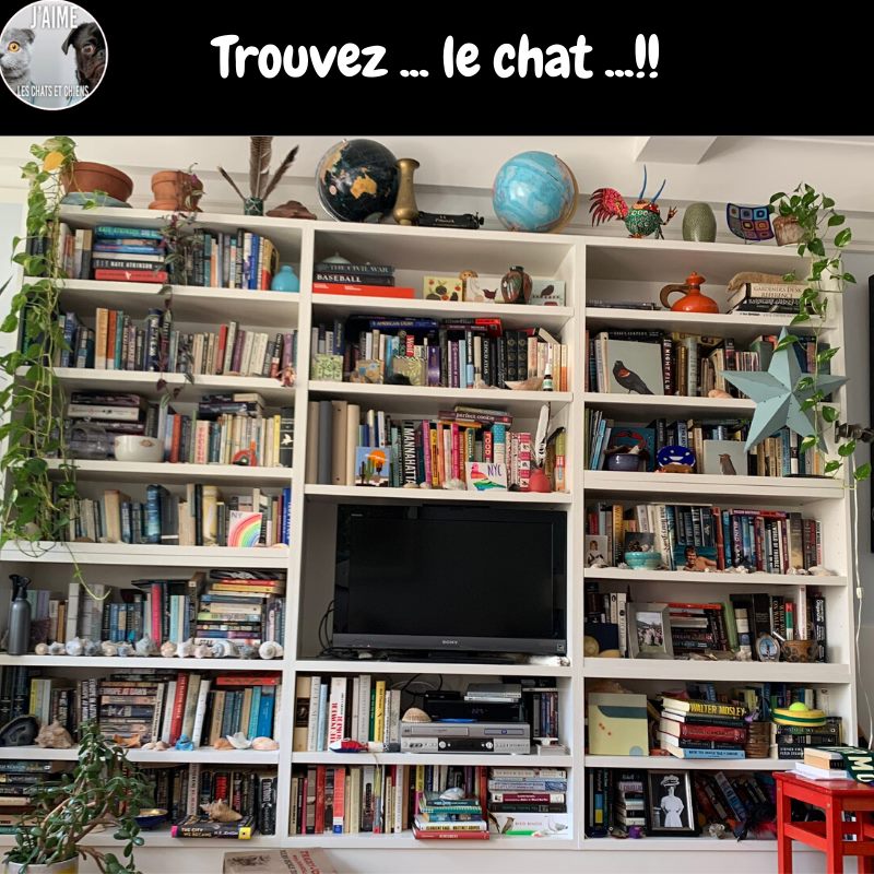 🇺🇦 Beguin-chat 🇲🇫 🇬🇧 tweet media