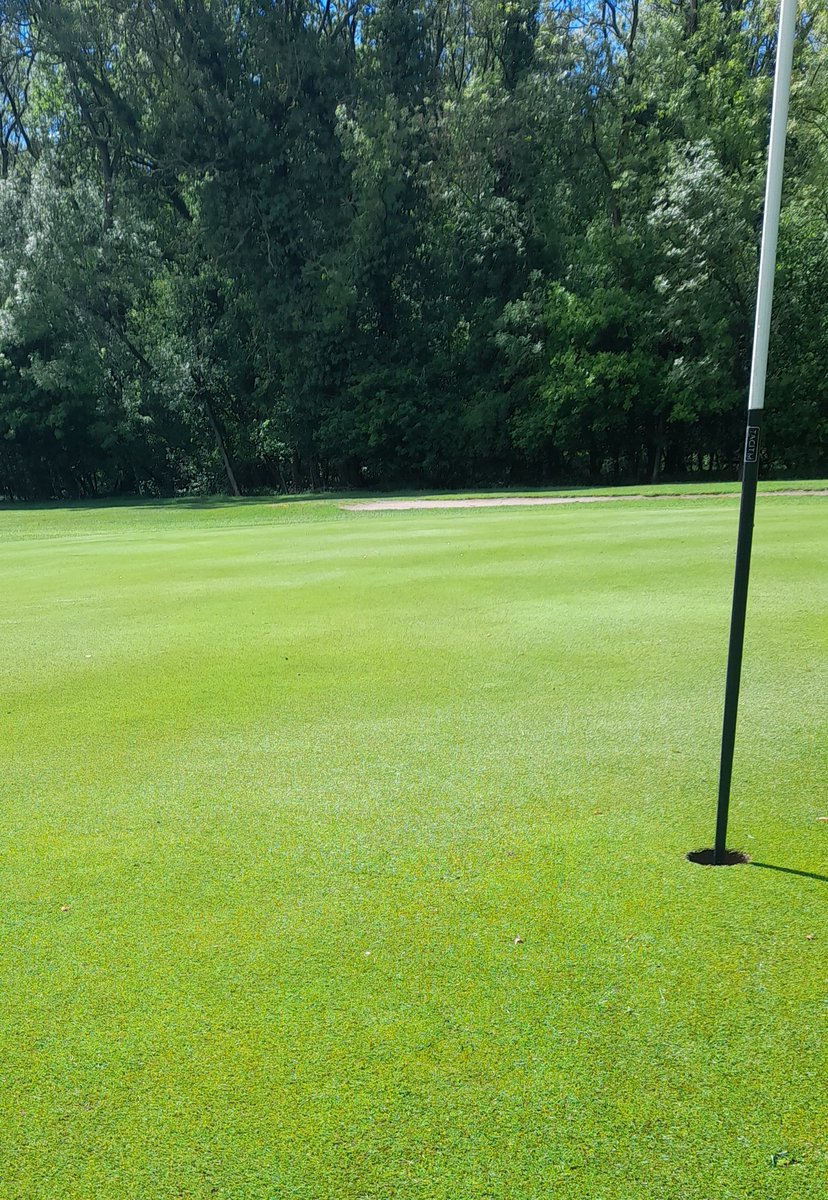 IanRobins9's tweet photo. Greens in a good place after there last app of aquaritin 19,defend and sparc https://t.co/LkDTWfgC3z