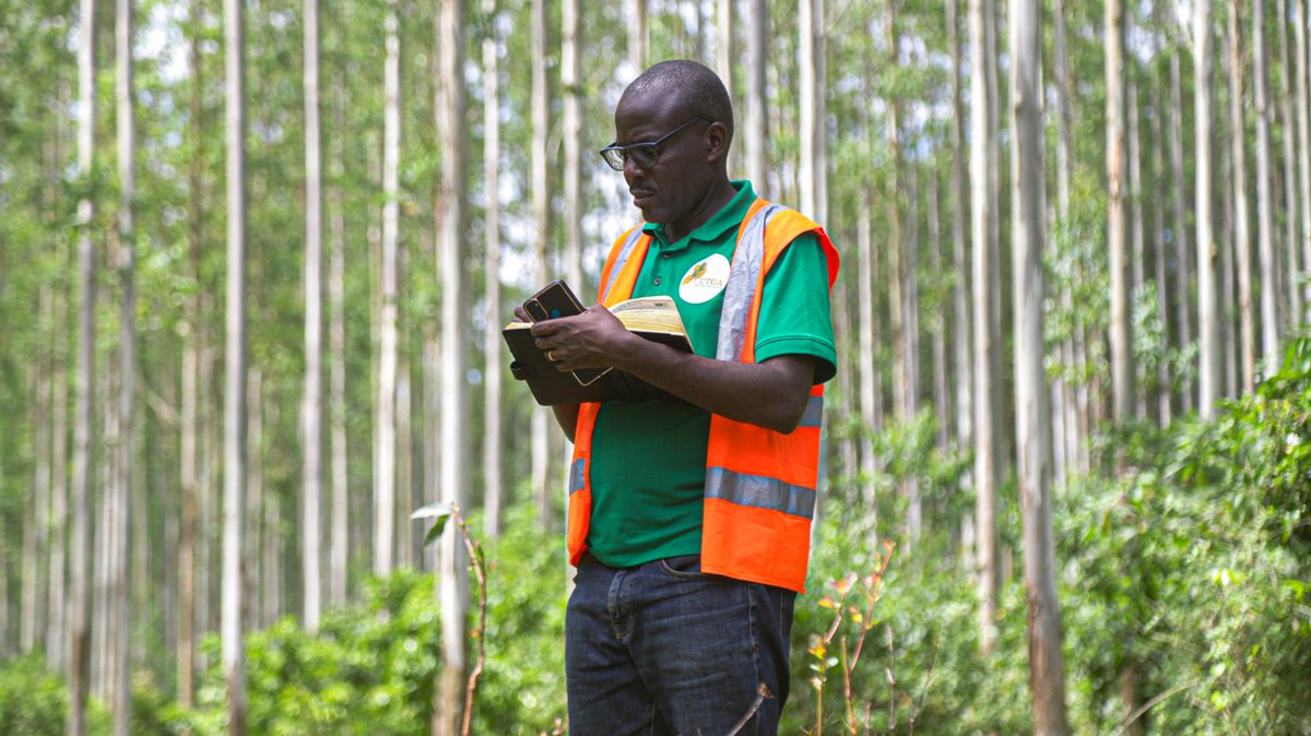 Uganda Timber Growers Association tweet media