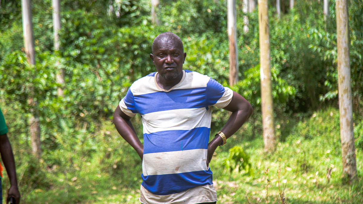 Uganda Timber Growers Association tweet media