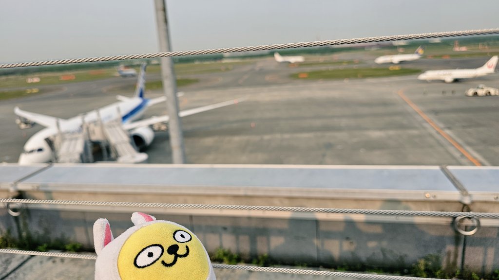 치치(ちち) tweet media
