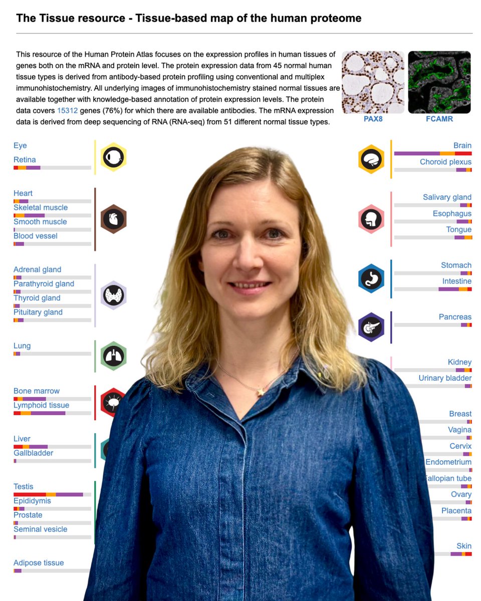 Human Protein Atlas tweet media