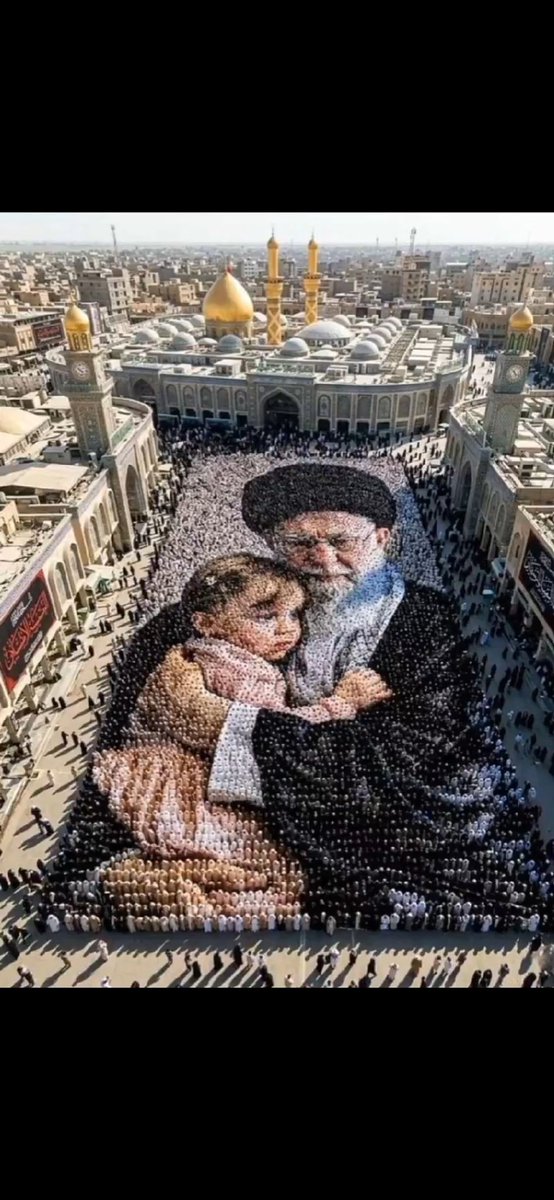 محمدرضا عرب tweet media