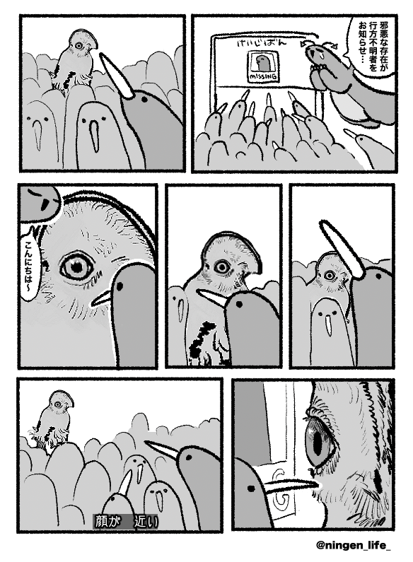 ningen_life tweet media