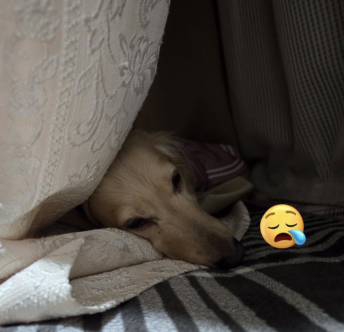 2人とも💤.*GoodNight☪︎ *.💤