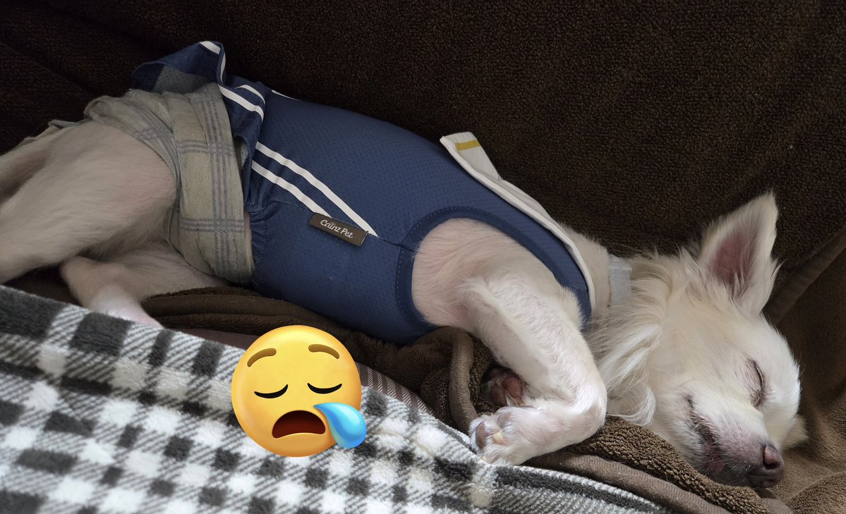 2人とも💤.*GoodNight☪︎ *.💤