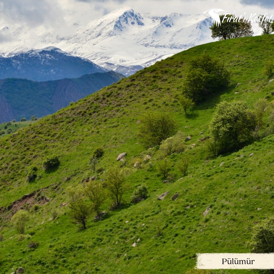 KesfetF's tweet photo. Tunceli; doğası, tarihi ve kendine özgü lezzetleriyle keşfetmeyi sevenler için bambaşka bir deneyim sunuyor. 🌿⛰️

#fıratıkeşfet #fıratturu #tunceli https://t.co/1hA3NZzVmO