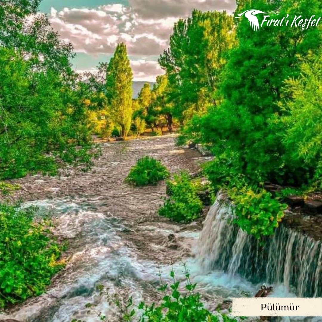 KesfetF's tweet photo. Tunceli; doğası, tarihi ve kendine özgü lezzetleriyle keşfetmeyi sevenler için bambaşka bir deneyim sunuyor. 🌿⛰️

#fıratıkeşfet #fıratturu #tunceli https://t.co/1hA3NZzVmO