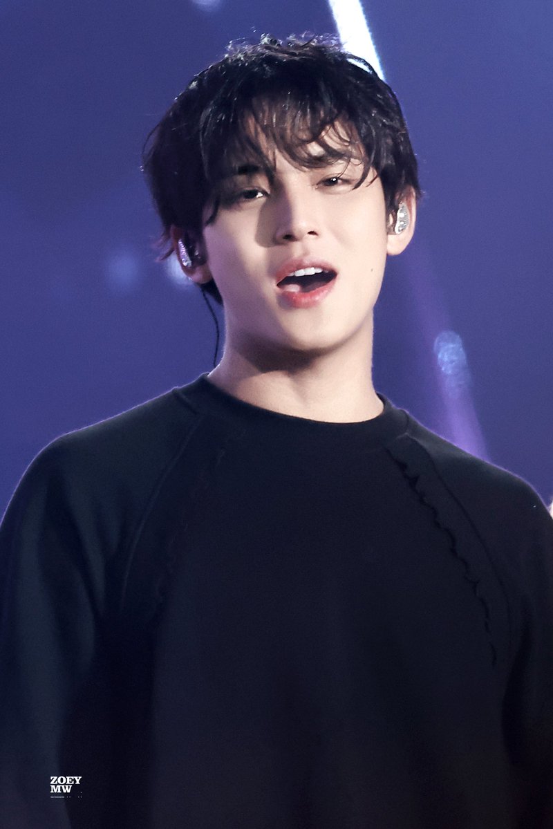 260513 SEVENTEEN 'YAKUSOKU' JAPAN FANMEETING IN TOKYO D1 #민규