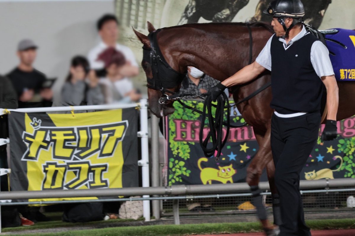 ジーン tweet media