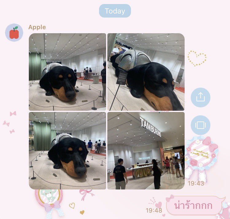 진미코 tweet media