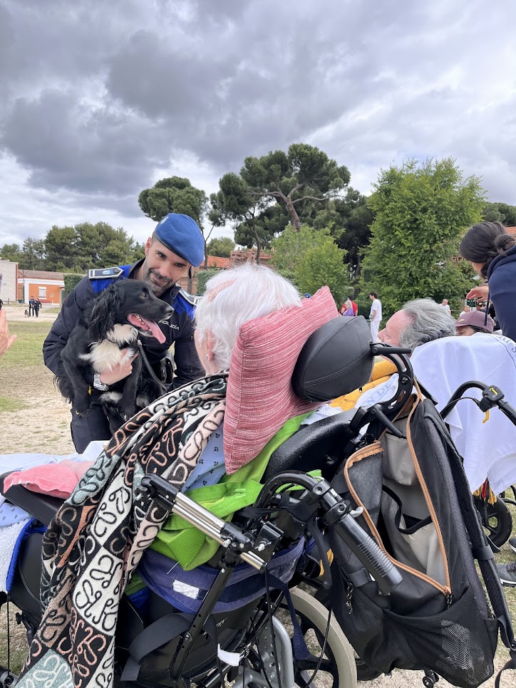 FISJ_Madrid's tweet photo. Damos las gracias al Escuadrón de Caballería y la Sección Canina de la @policiademadrid  por regalarnos una mañana inolvidable gracias a su exhibición, y al momento de encuentro entre usuarios, pacientes, familiares, policías y animales. #SanIsidro https://t.co/0RhSHIbSw6