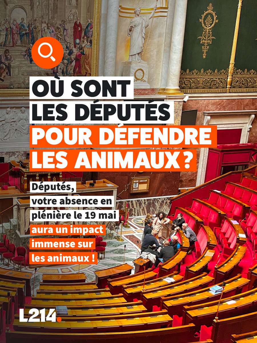 L214 éthique & animaux tweet media
