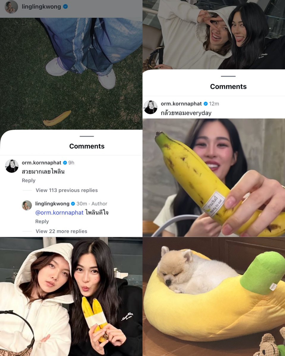 “ ปลาเองง ” tweet media