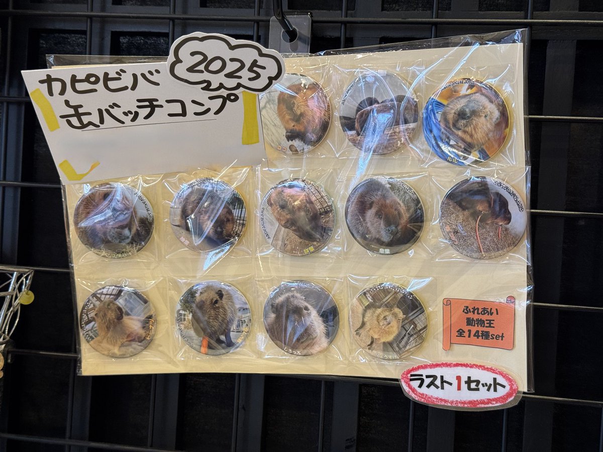 ぬんミャ tweet media