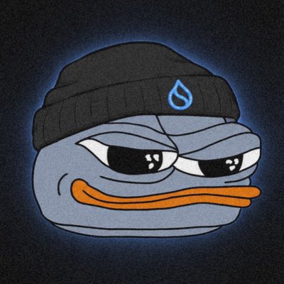 SUITARDS tweet media