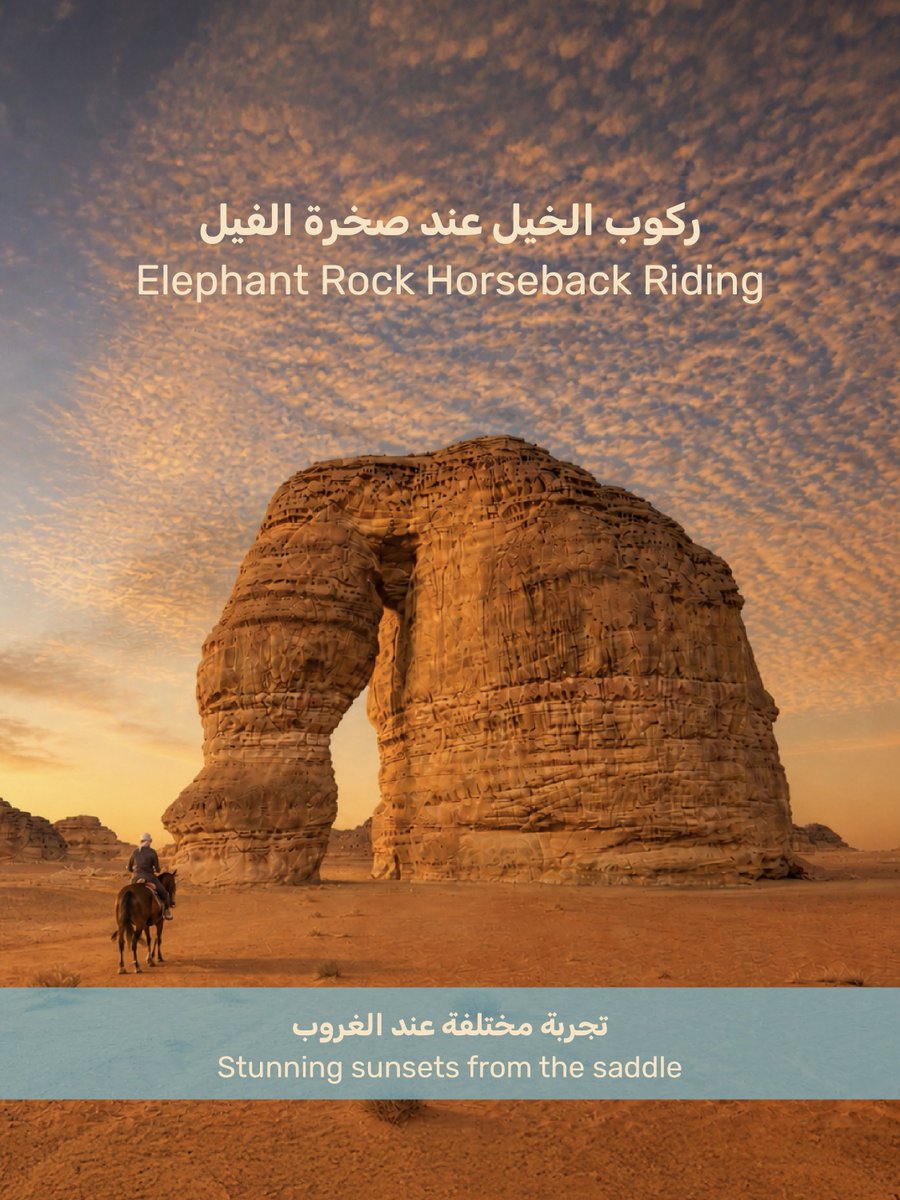 alulaguide's tweet photo. بعض التجارب لا يحدّها موسم، بل تنتمي للمكان
العلا وجهتكم في كل وقت

للحجز والاستفسار
📲: https://t.co/54aHAl163d
✉️: info@alulaguide.sa

#Alula #Saudi #Travel #العلا #السعودية #سفر https://t.co/Xve2saQNBq