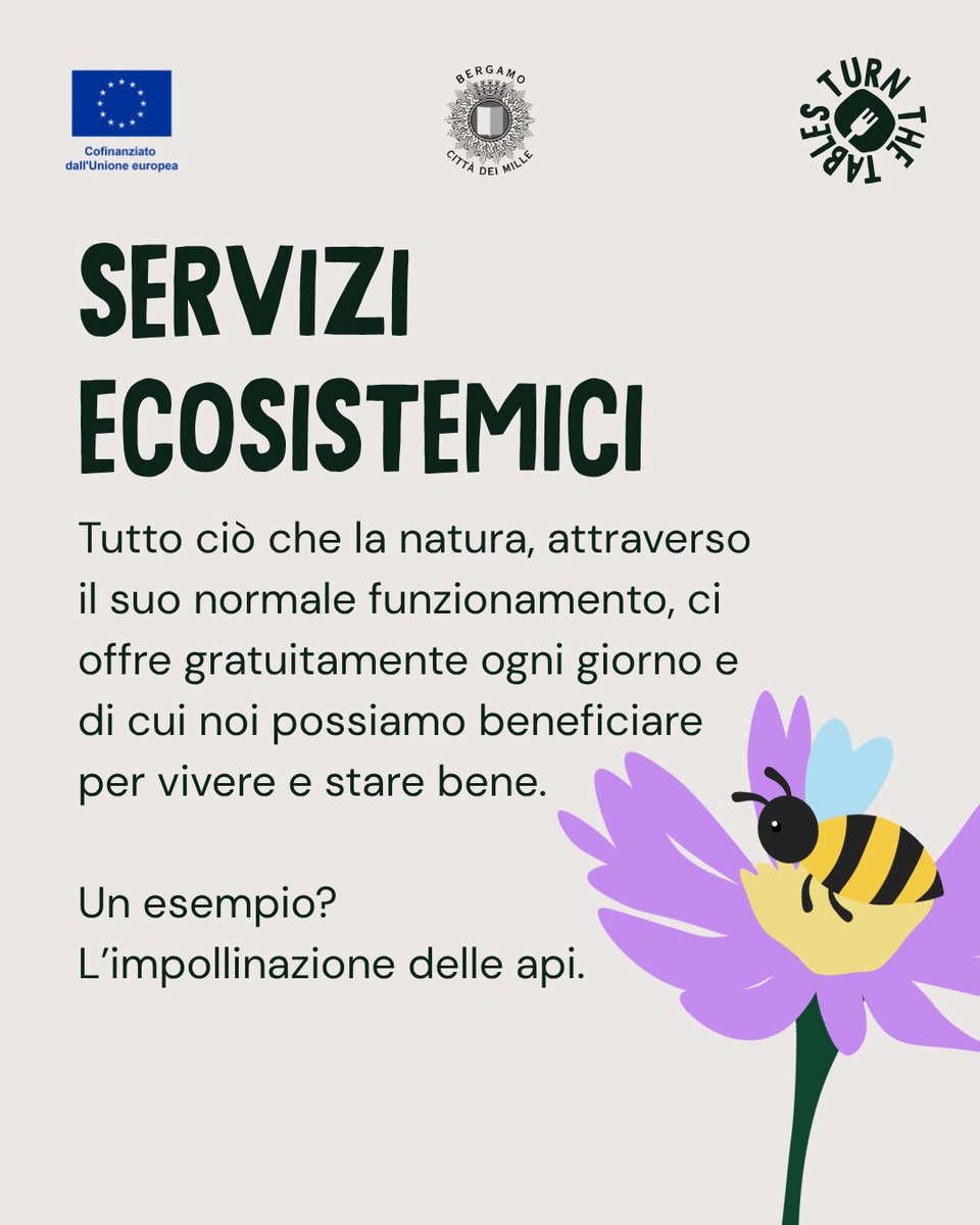 foodpolicybg's tweet photo. Parliamo come mangiamo! 🍅🥕🥦🐝
#serviziecosistemici benefici gratuiti della natura, come l’impollinazione delle api, che garantiscono biodiversità e cibo di qualità🌿✨Senza questo equilibrio, produrre sarebbe più difficile e costoso🤝🌱 https://t.co/pwzED41hRf