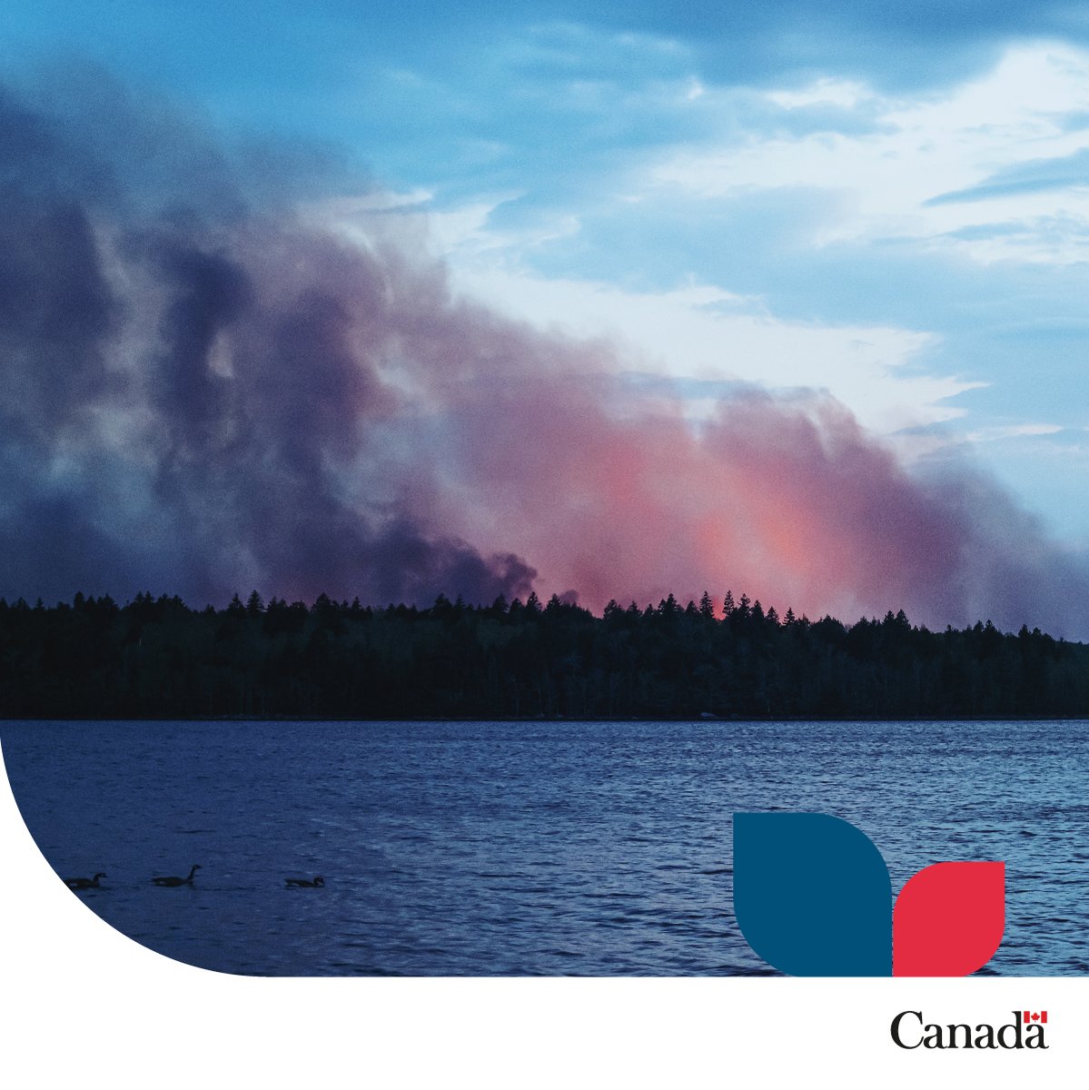environnementca's tweet photo. 1/2 Nos services de prévision et d’alerte peuvent vous aider à anticiper et à gérer des dangers comme la #fumée des #FeuxDeForêt lors d’urgences : https://t.co/BzEddmzJxw

#QualitéDeLAir #ProtégezVous https://t.co/Q1yNsOLwWh