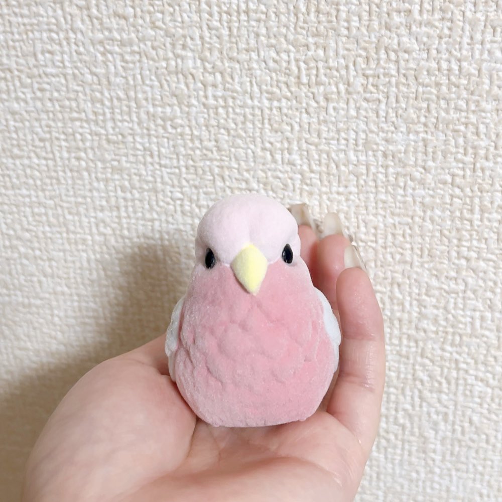 うずら tweet media