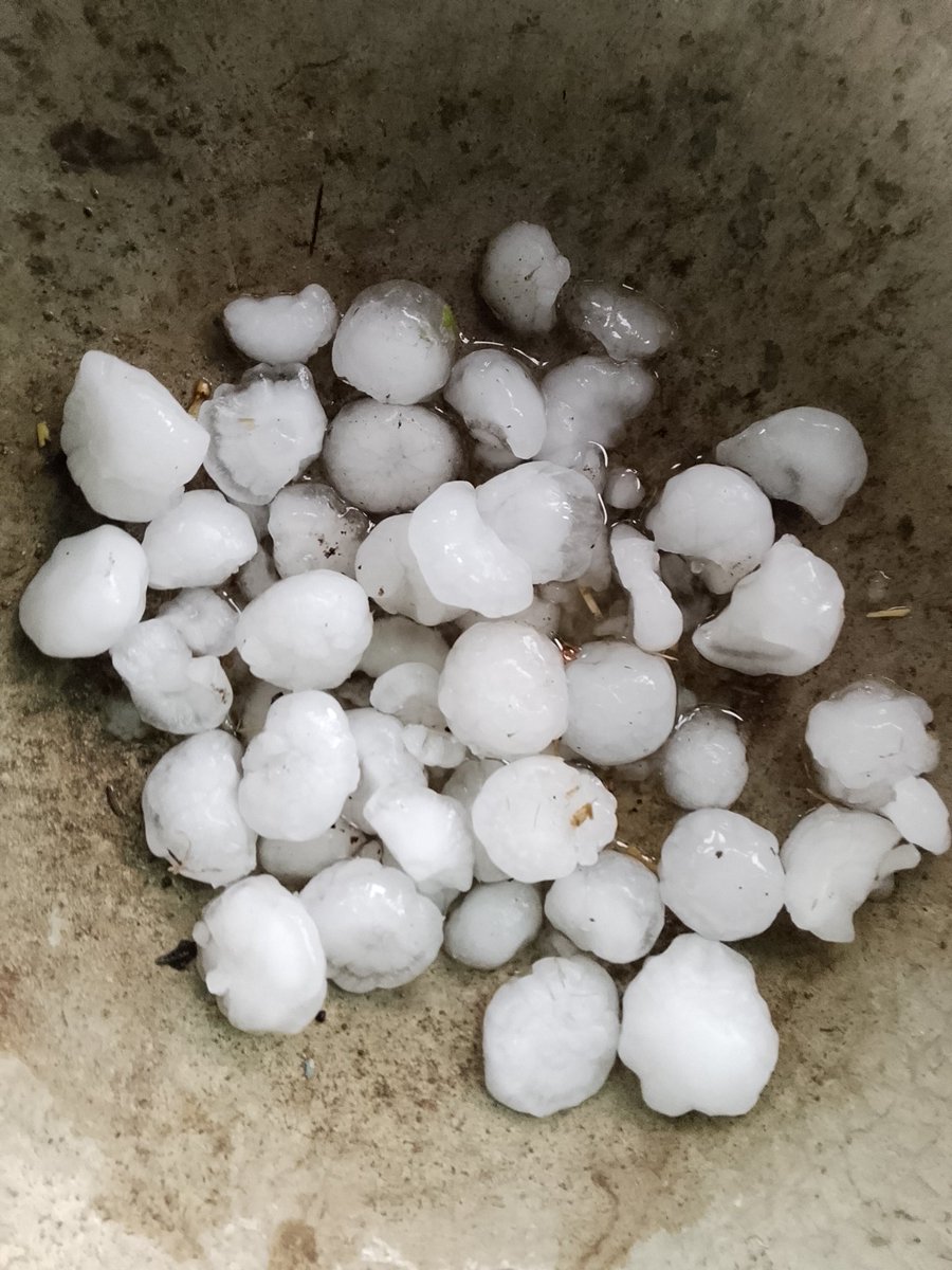 myrarious's tweet photo. Lemon sized hail in gari shahu Lahore 🫠 https://t.co/5GK6odqIHm