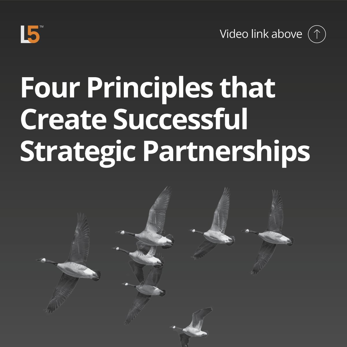 Level5 Strategy tweet media