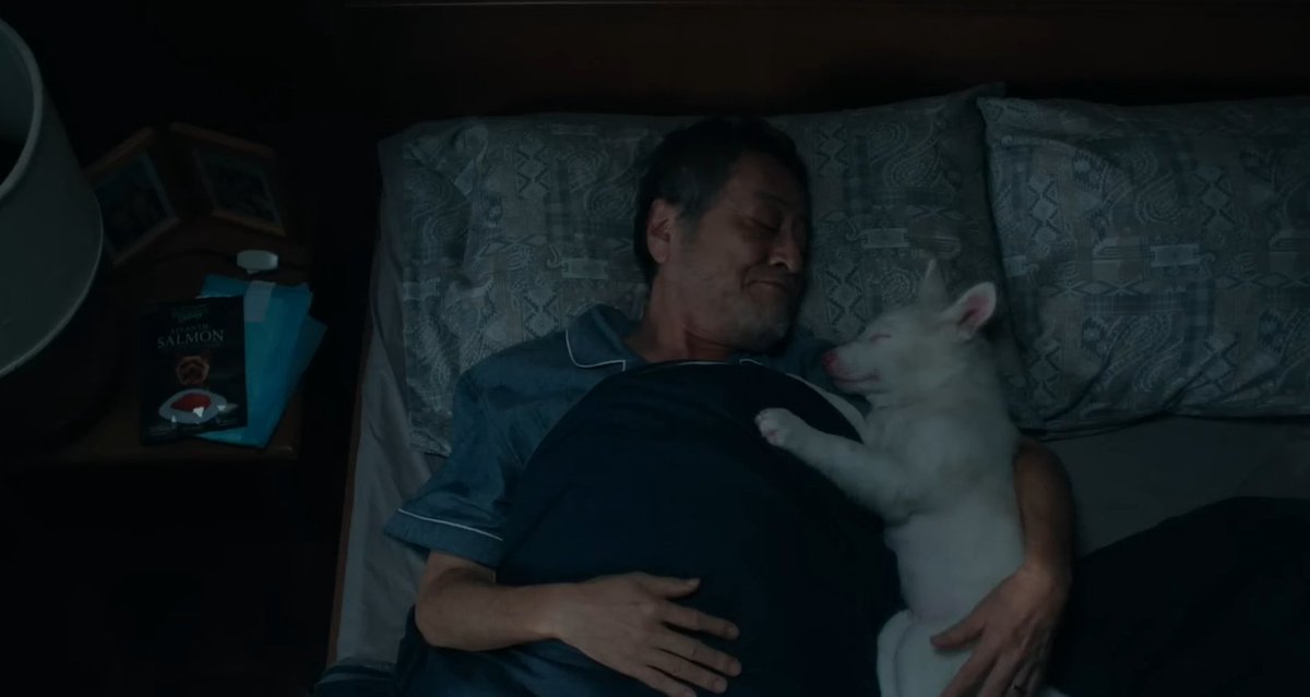 WatchmenID's tweet photo. Kalau kamu punya anabul atau penyayang binatang, dijamin dari adegan pembuka pun akan langsung berkaca-kaca. POV dari Gohan sang anjing ini ga banyak sebenernya, tapi tiap muncul ANJING banget alias ga bisa ga bikin berkaca-kaca, bahkan mungkin kamu bisa nangis 😭

Filmnya tuh beneran bisa bikin Gohan jadi main character yang pivotal berkat shot-shot yang pas, pose dan reaksi Gohan yang masuk ke dalam cerita. Jujur ga ngerti gimana caranya ngedirect Gohan, soalnya ekspresinya kerasa banget dan matanya kaya beneran bisa ngomong 😭
