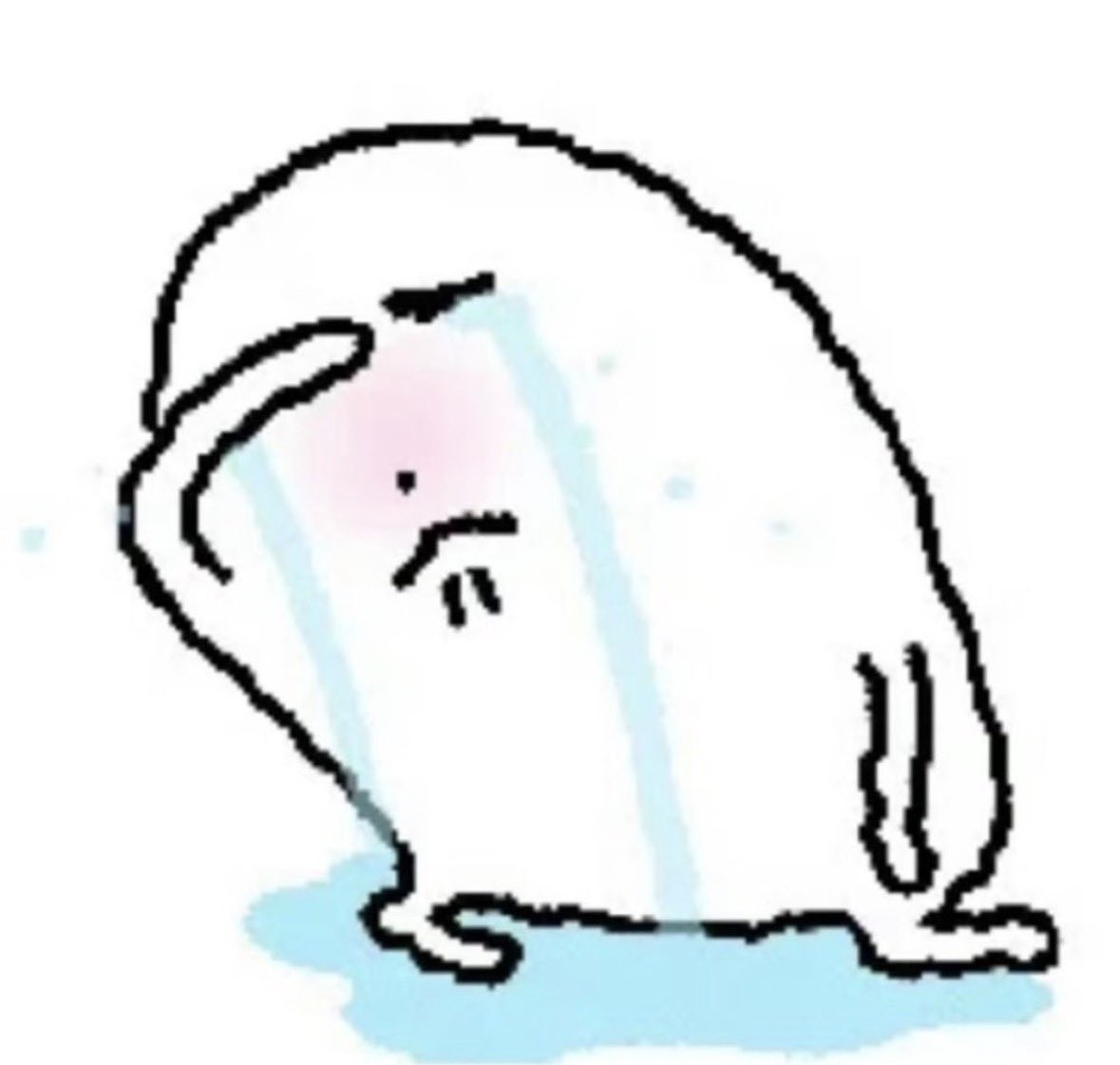 빈콩🌱 tweet media