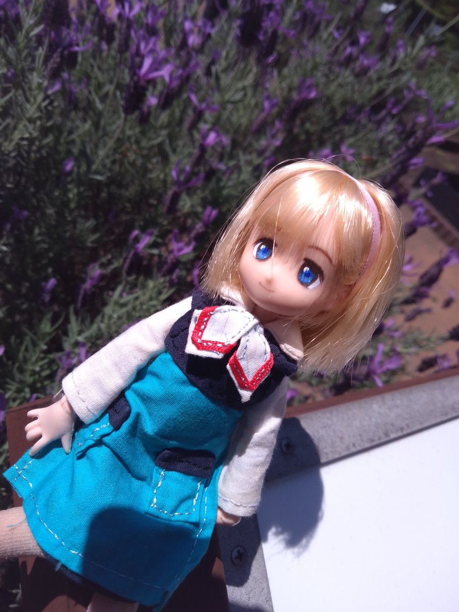 りんごちゃんとしあっち。 久々にでてもらったけど、結構かわいいし服