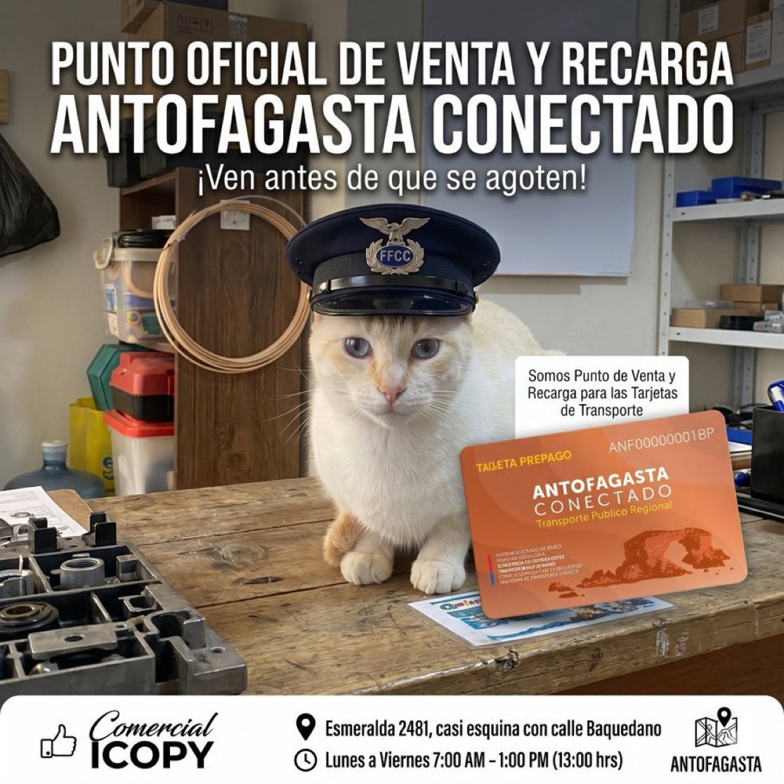 icopy_stamp's tweet photo. #Antofagasta Comercial iCopy, punto de venta y recarga oficial de tarjetas de transporte. Ven antes que se agoten. 
📍 Esmeralda 2481, casi esquina Baquedano
🕒 Lunes a viernes 07:00 a 13:00

🐱 Don Tomásito atento para una atención rápida y cortés. https://t.co/fTROuCfi2e