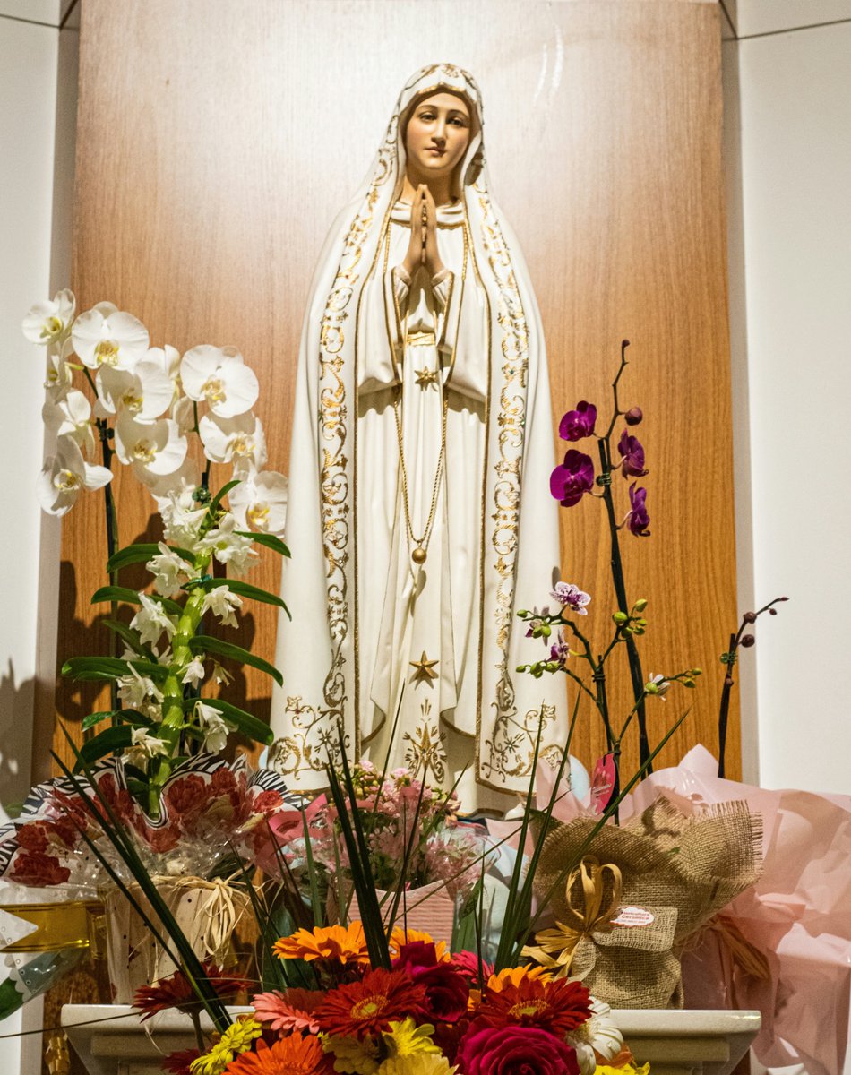 Pray The Rosary tweet media