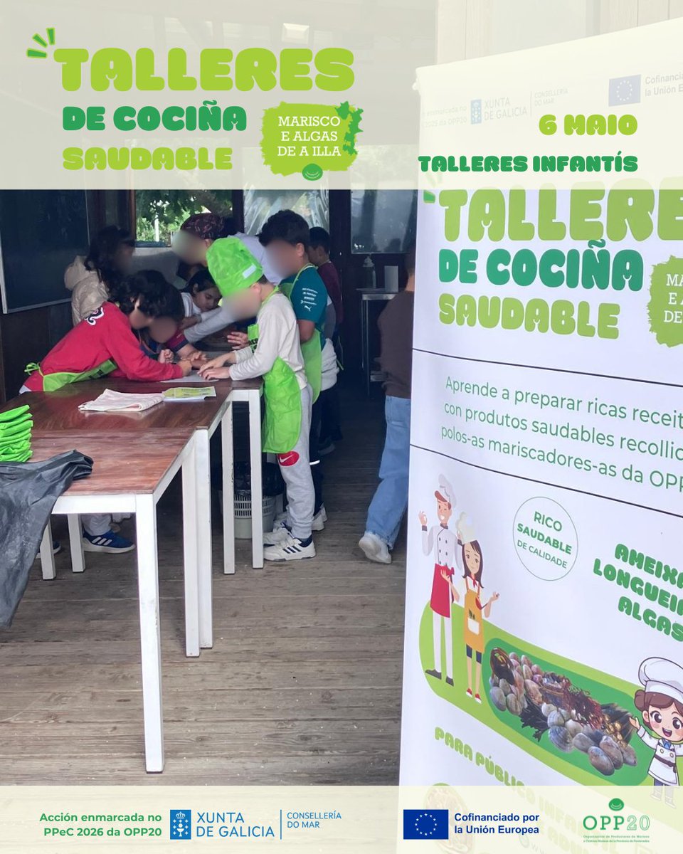 OPP20AIlla's tweet photo. 🐚 Onte, os Talleres de Cociña Infantís de |OPP20PROMOCIÓN chegaron ao alumnado de 1º de prim do CEIP Torre Illa

34 rapaces-as participaron nunha nova xornada para descubrir o marisco e as algas da Illa de Arousa a través da cociña e do xogo 🌊👩‍🍳

#OPP20PROMOCIÓN #MariscoDeAIlla https://t.co/vWS4Jxgg7x