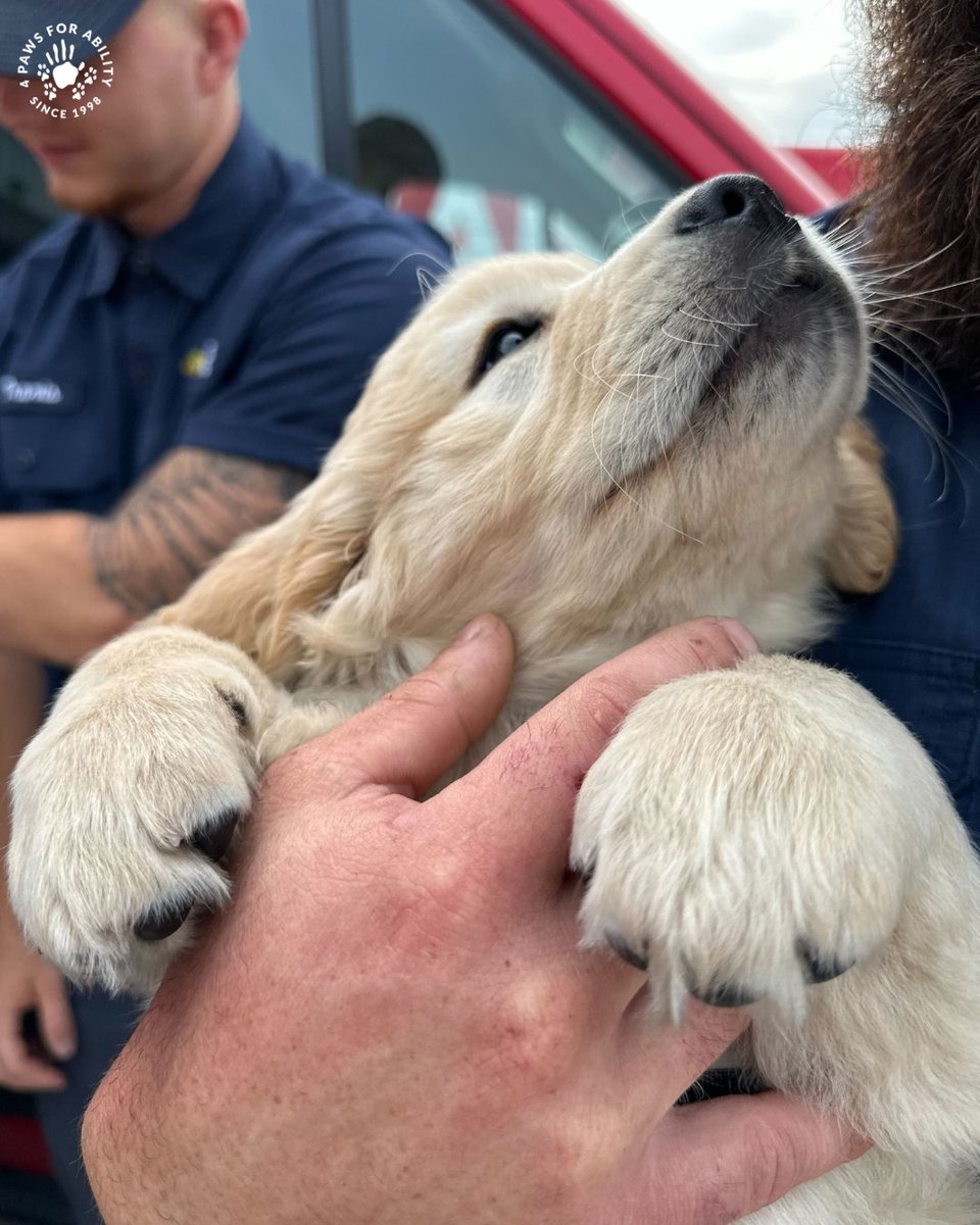 4 Paws For Ability tweet media