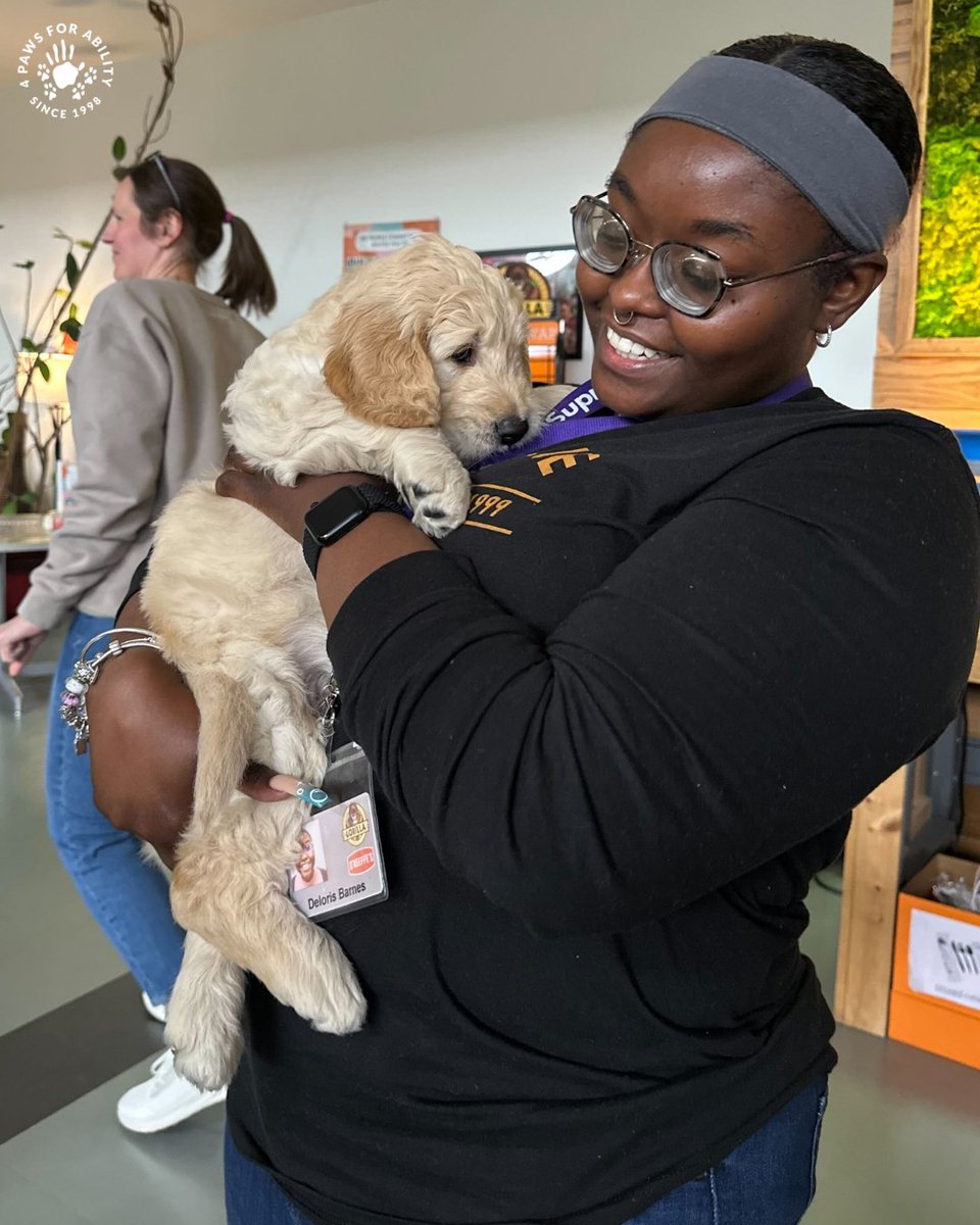 4 Paws For Ability tweet media