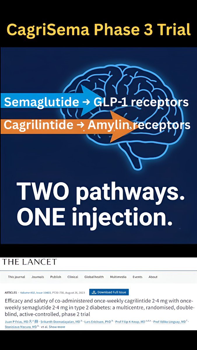 dihexa benefits wholisticresearch CagriSema = two drugs fused into one weekly shot: 💉 Semaglutide (the  Wegovy ingredient) — tells your brain you're full via GLP-1 receptors 💉  Cagrilintide — hits a totally different pathway: amylin