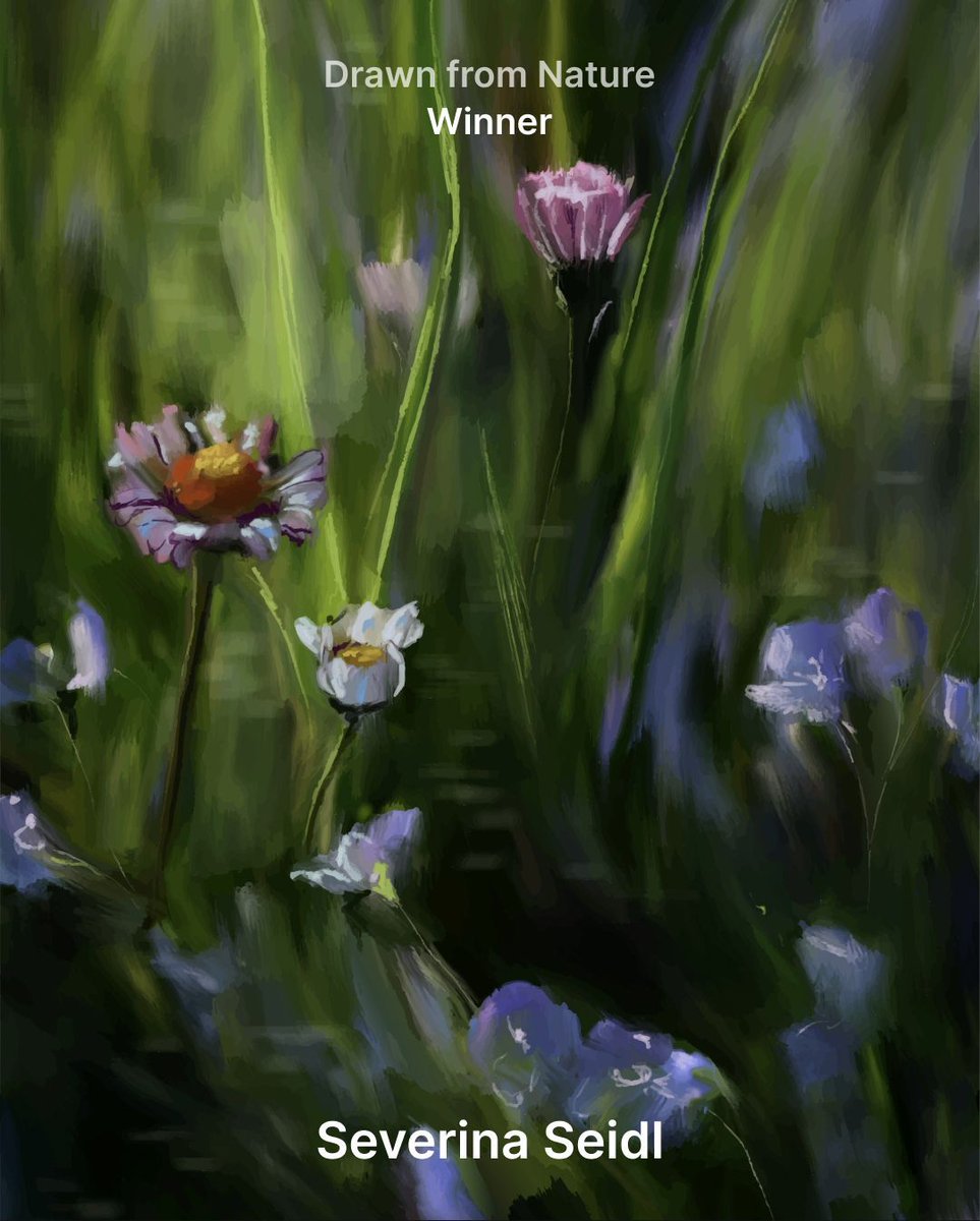 Unsplash tweet media