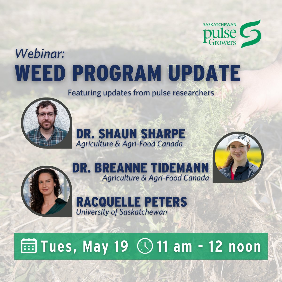 Saskatchewan Pulse Growers tweet media