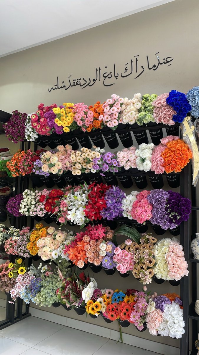 _i1eq's tweet photo. ✨🌷🪄💗🪷 https://t.co/Q6CWvFlyQr