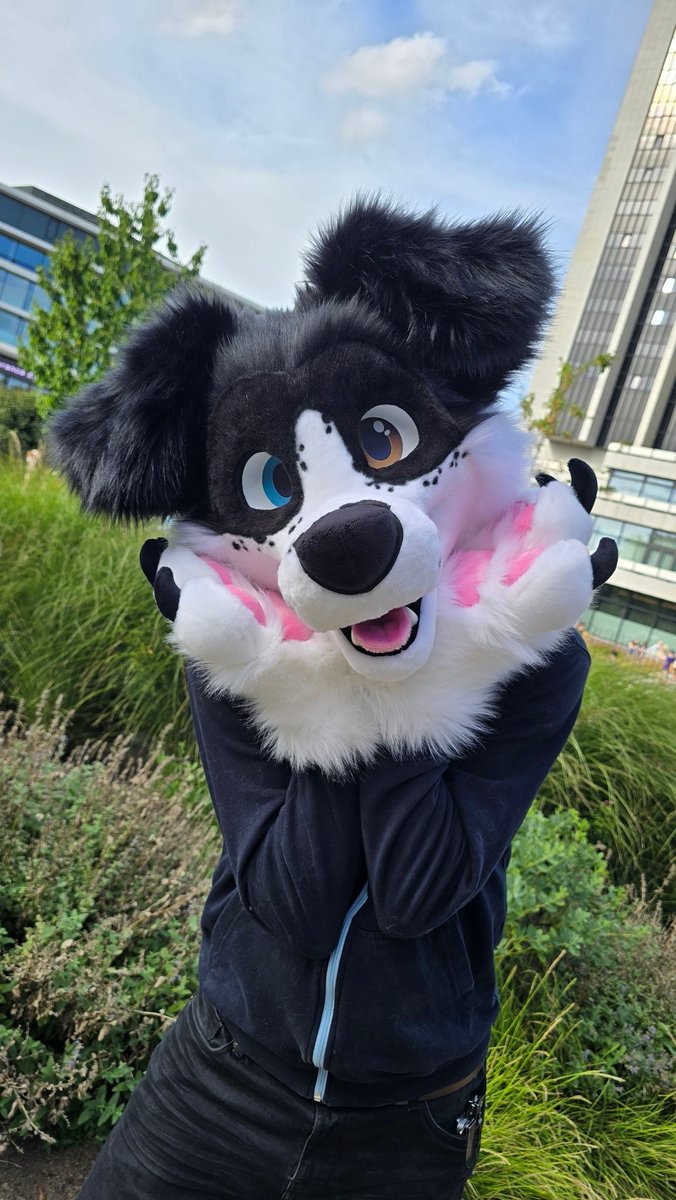 CritterWorkshop's tweet photo. @TheInodog Fursuit maker from the Netherlands here ❤️ https://t.co/JVISi0O4uA