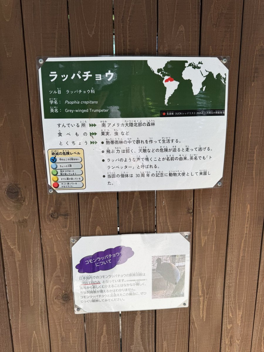 ちびうさ tweet media