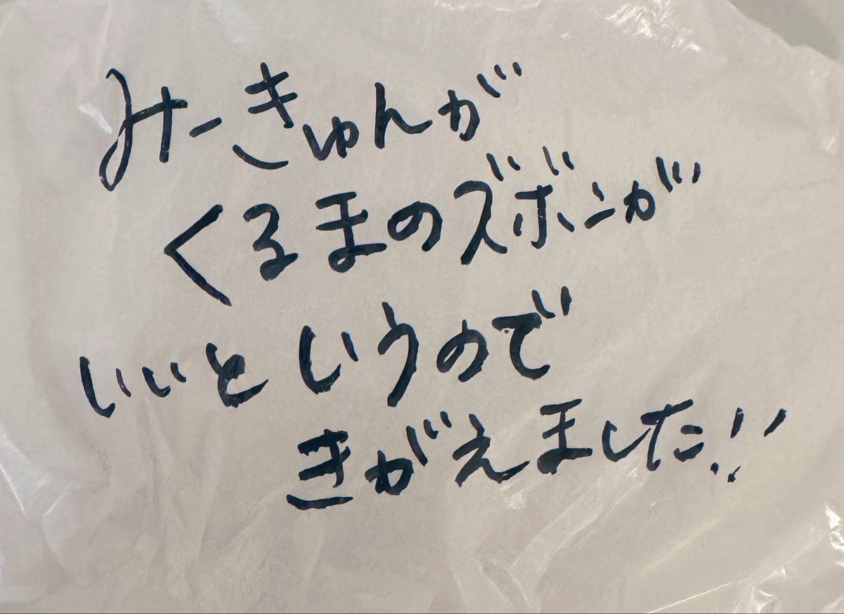 ぐみ☺︎🐱🧋3𝓨̆̈0𝕞̿̈🚒🐾+ 11𝕞̿̈ 🎀 tweet media