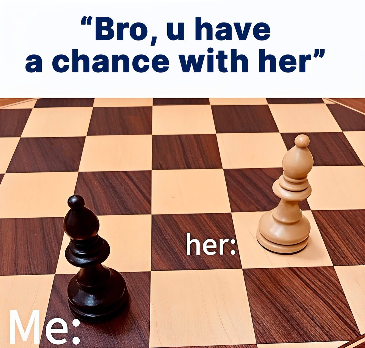 Chess Master tweet media