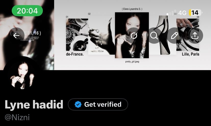 Pine Hadid tweet media