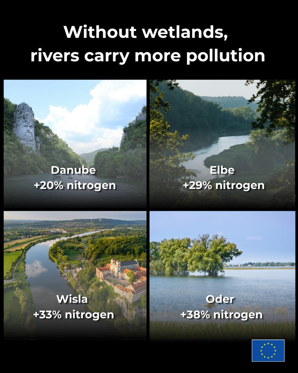 EU_ENV's tweet photo. Can nature help solve water pollution?
A new study suggests that wetland restoration in strategic locations could significantly reduce nitrogen flowing into 🇪🇺 rivers and seas, and improve water quality across Europe.
Read the full study 👉 https://t.co/oj3Jv3P5GI
#WaterWiseEU https://t.co/C2cVNPtGgo