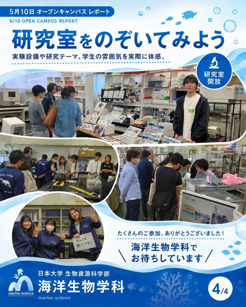 MsrNihon's tweet photo. 延べ1,000人超え、ありがとうございました！🌊
5月10日のオープンキャンパス、海洋生物学科ブースに本当にたくさんの高校生・保護者の方が来てくださいました✨
学科説明会では、入試や学びの内容をじっくり解説。
模擬講義では、海の生きものの不思議に迫る最前線をお届けしました。
教員や大学院生との個別相談では、「研究って実際どんな感じ？」「学生生活は？」など、リアルな声が飛び交いました。
そして研究室開放📣
普段は見られない実験機器や標本、フィールドワーク（実際の海や川での調査）の様子に、目を輝かせる高校生の姿が印象的でした。
海への一歩、ここから始めてみませんか？🐟
次回オープンキャンパスや学科の最新情報は、プロフィールのリンクからチェック！個別の質問はDMでもOKです。

#日大 #日本大学 #生物資源科学部 #生物資源 #海洋 #海洋生物学科
#オープンキャンパス #大学選び #理系女子 #高校生
#フィールドワーク #海洋研究 #水産学
#研究室紹介 #海好きと繋がりたい