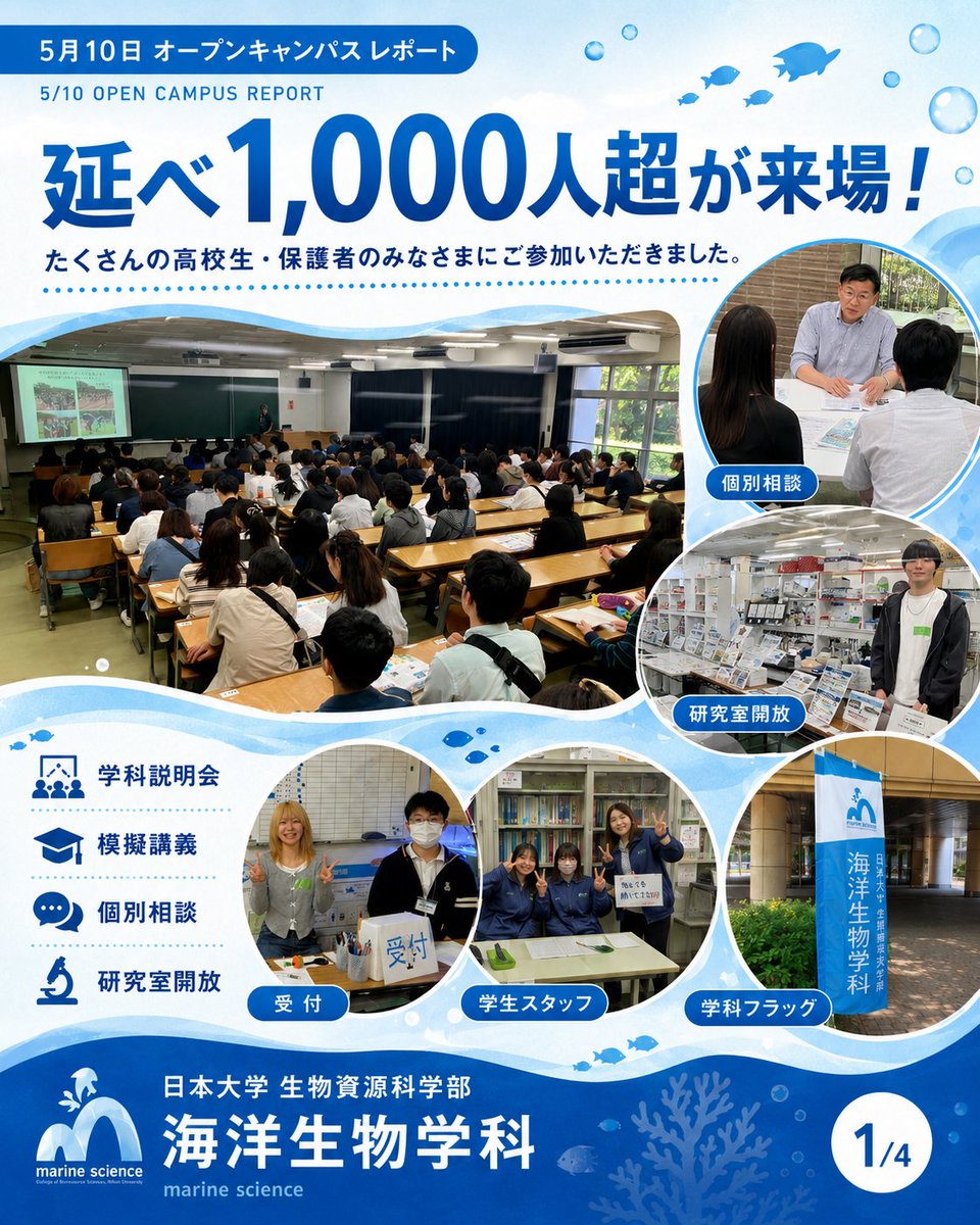 MsrNihon's tweet photo. 延べ1,000人超え、ありがとうございました！🌊
5月10日のオープンキャンパス、海洋生物学科ブースに本当にたくさんの高校生・保護者の方が来てくださいました✨
学科説明会では、入試や学びの内容をじっくり解説。
模擬講義では、海の生きものの不思議に迫る最前線をお届けしました。
教員や大学院生との個別相談では、「研究って実際どんな感じ？」「学生生活は？」など、リアルな声が飛び交いました。
そして研究室開放📣
普段は見られない実験機器や標本、フィールドワーク（実際の海や川での調査）の様子に、目を輝かせる高校生の姿が印象的でした。
海への一歩、ここから始めてみませんか？🐟
次回オープンキャンパスや学科の最新情報は、プロフィールのリンクからチェック！個別の質問はDMでもOKです。

#日大 #日本大学 #生物資源科学部 #生物資源 #海洋 #海洋生物学科
#オープンキャンパス #大学選び #理系女子 #高校生
#フィールドワーク #海洋研究 #水産学
#研究室紹介 #海好きと繋がりたい