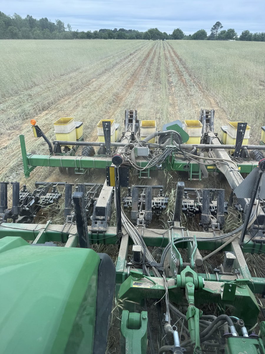 Georgia Cotton Commission tweet media